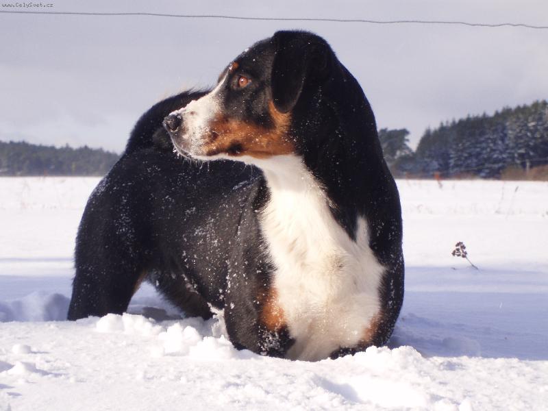 Foto: Asta Dakam-Asta Dakam 2 roky