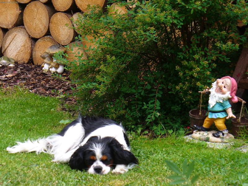 Foto: M�a-M�a a trpasl�k