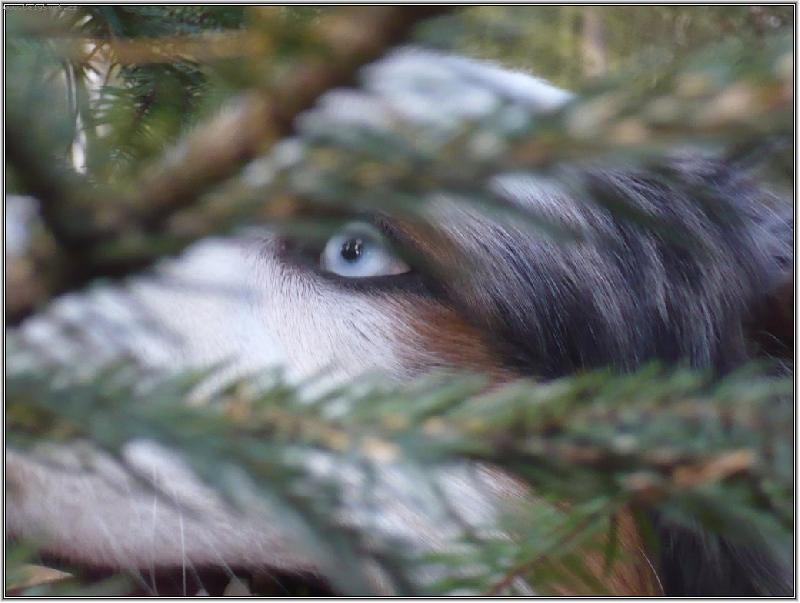 Foto: jsem z toho ve v�tvi