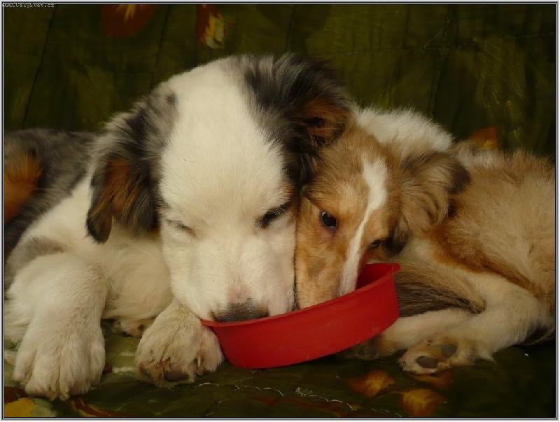 Foto: a kdo rychlej�