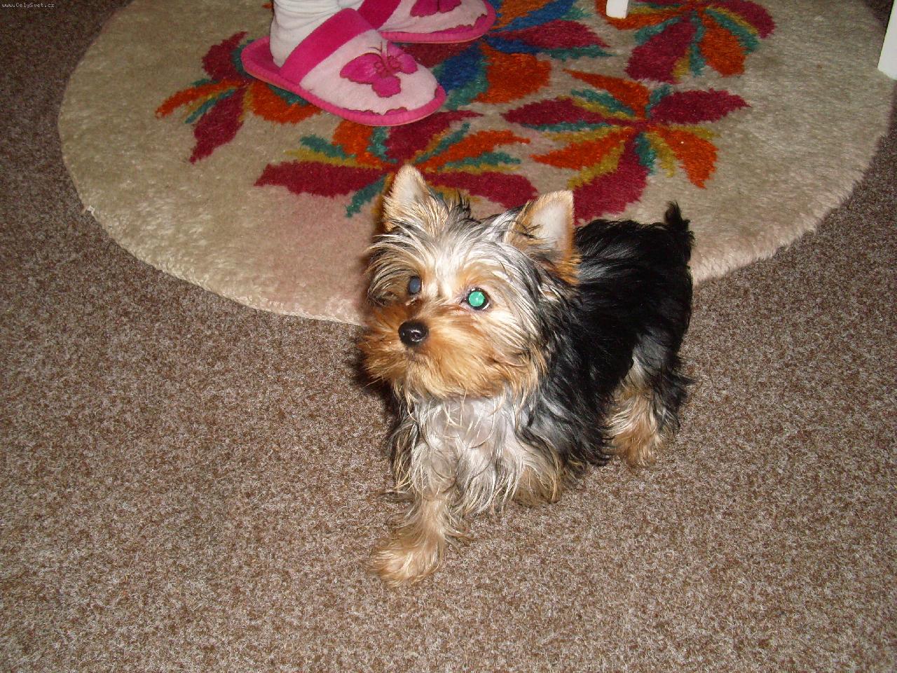 Foto: na�a miminko-to sem j� Jesika