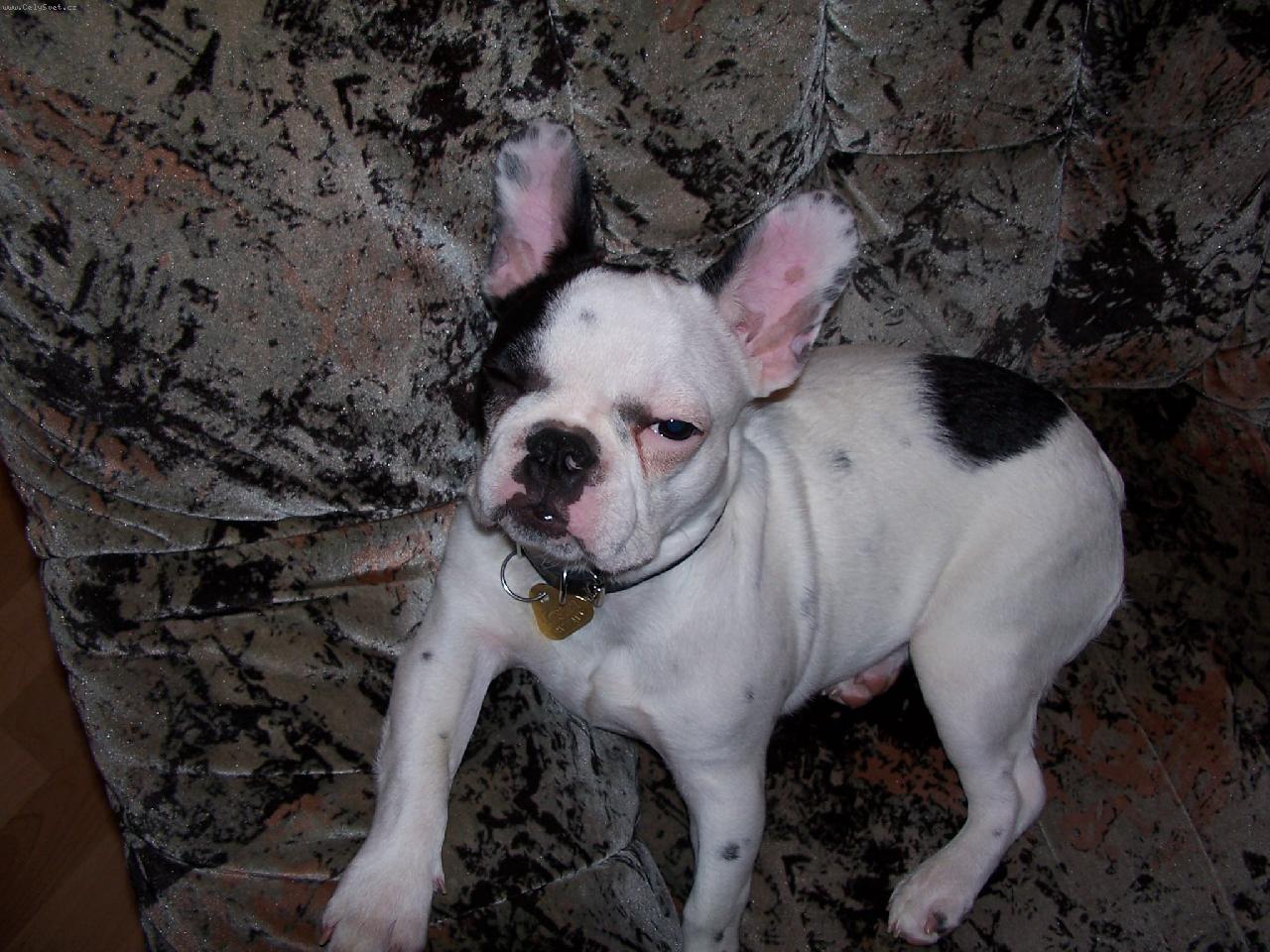 Foto: B�ra-To ja ale pohoda!