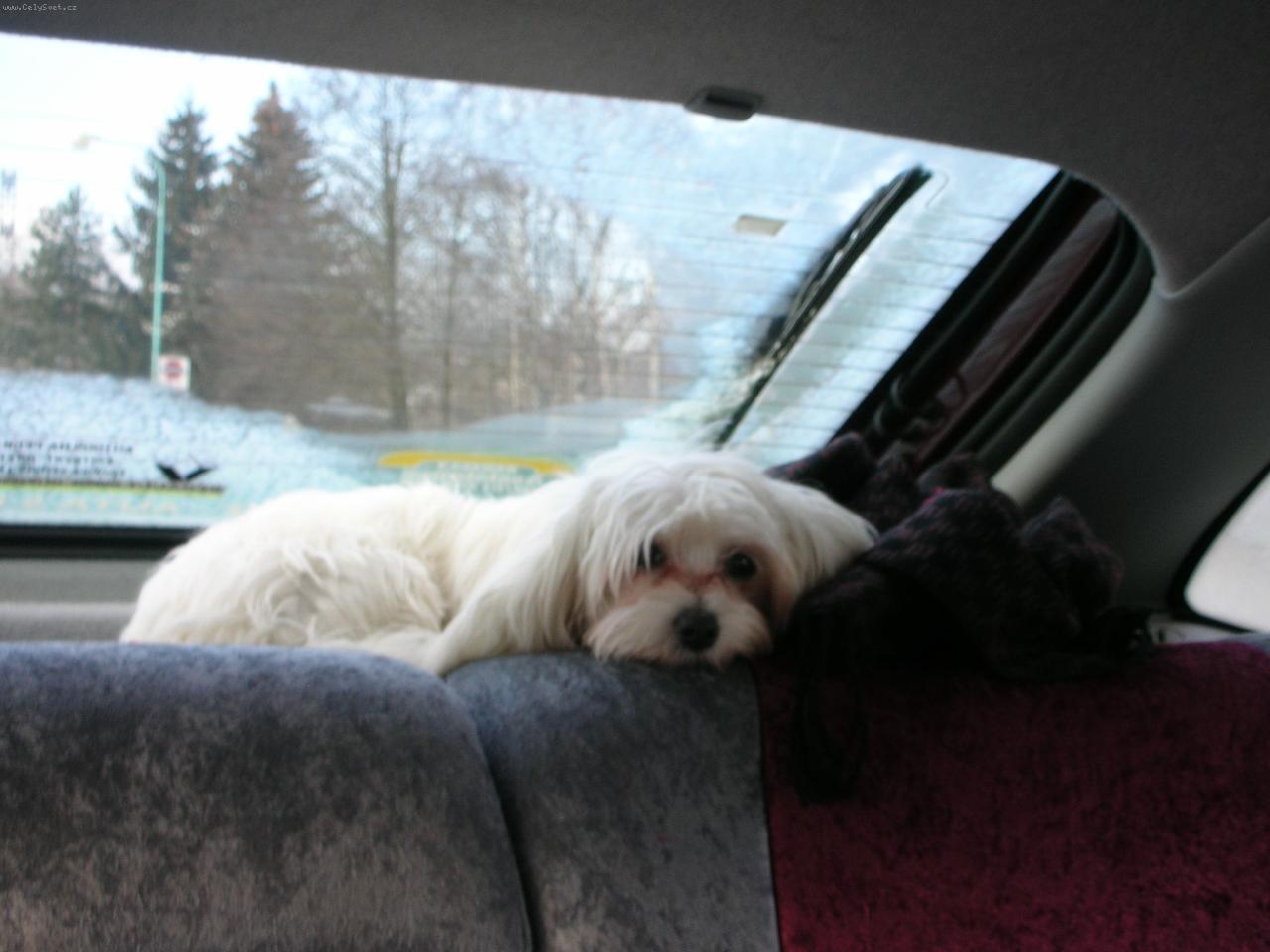 Foto: Beky-... auto m�m r�da...