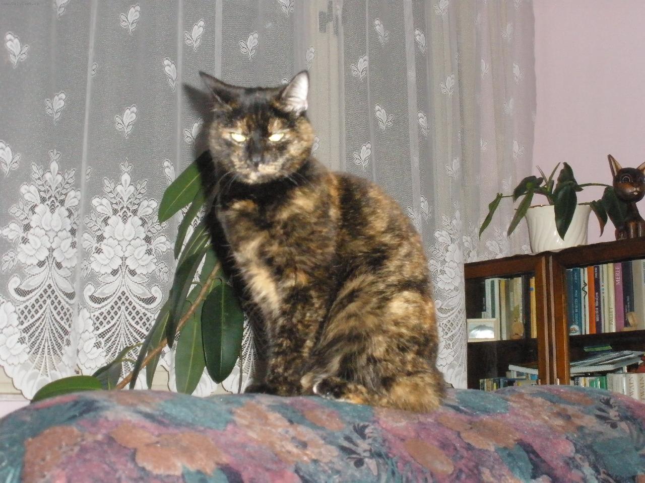 Foto: Moje ���a S�ra-���a:)