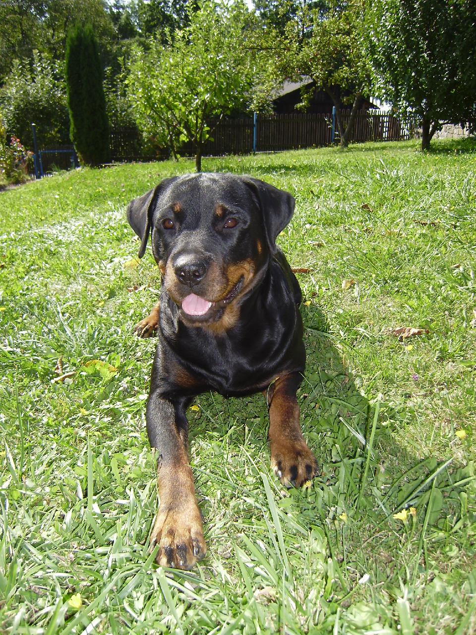 Foto: Corina dva roky