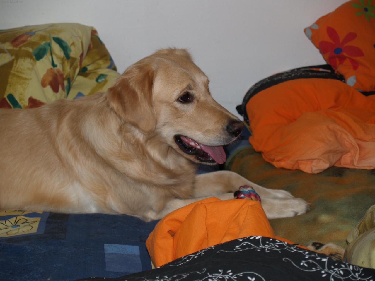 Foto: Tammi-haj� a �ek� :)