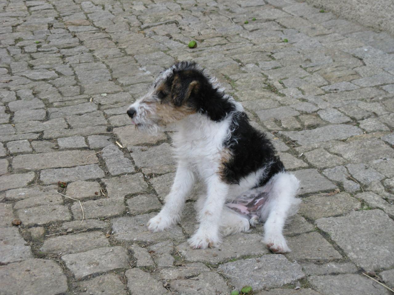 Foto: Sed�c� Anny