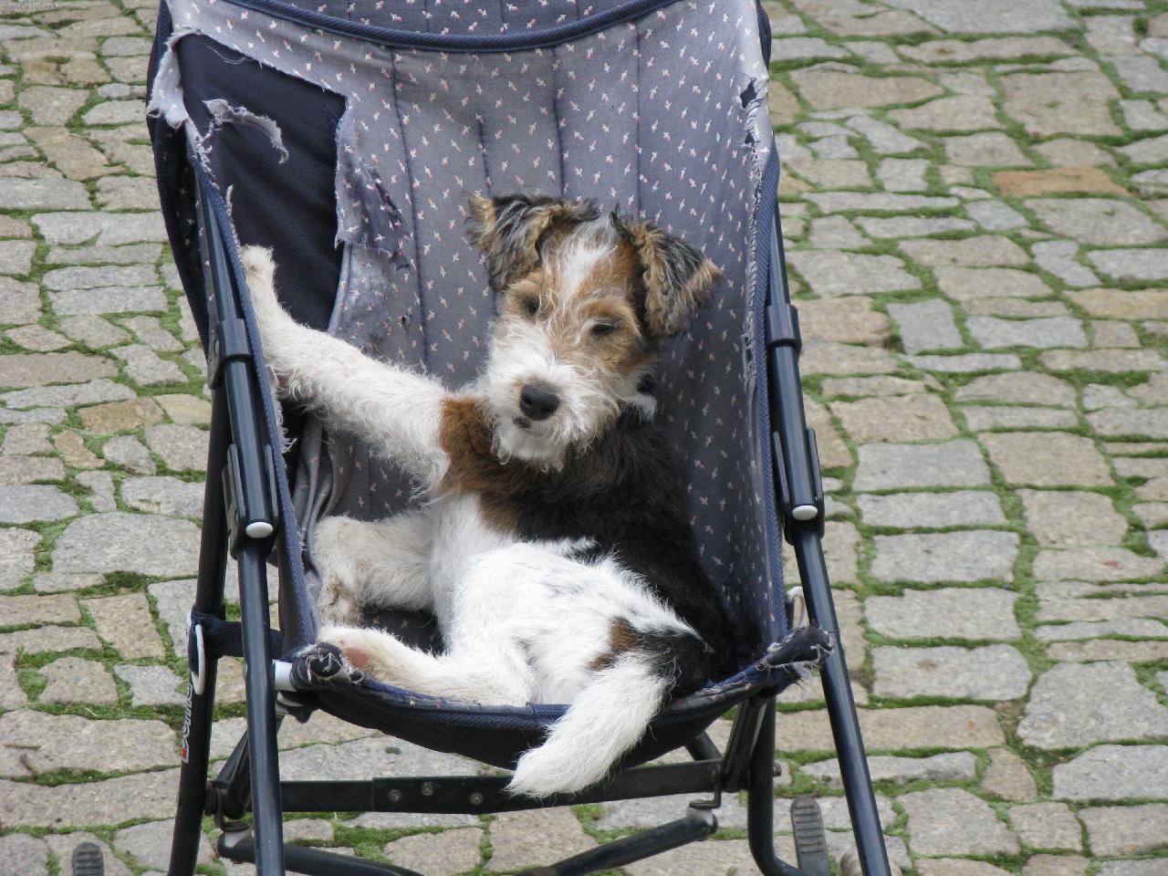 Foto: Anny odpo��v�