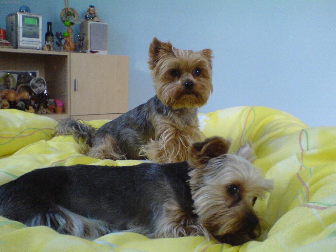 Foto: Besinka  se Samuelem