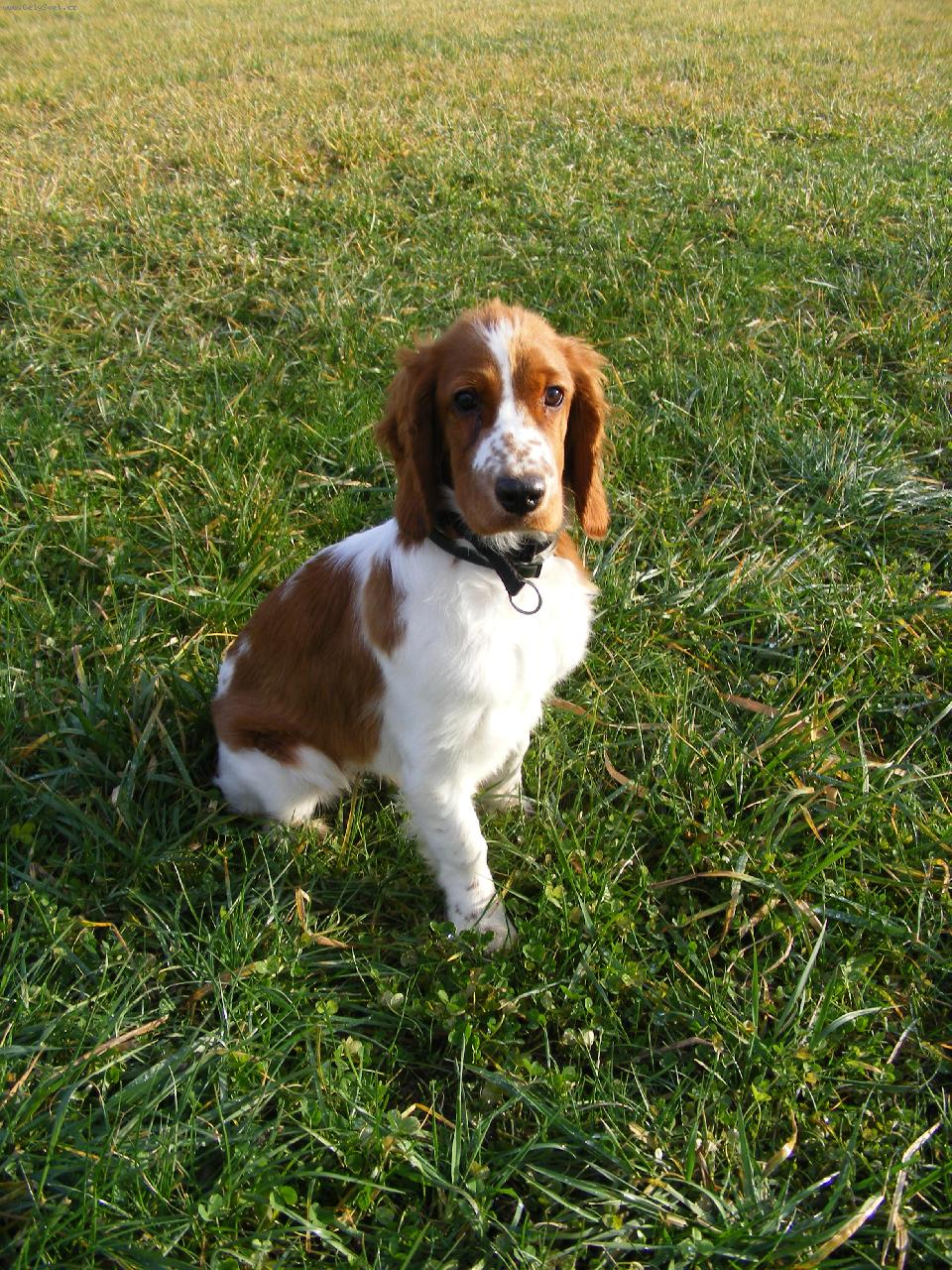 Foto: Daisy Han Ende-v 6 m�s�c�ch na proch�zce