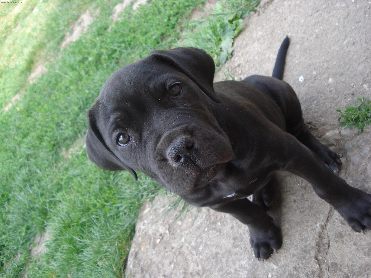 Foto: Mirtil-moja malicka prave ma 9 ty�dnou