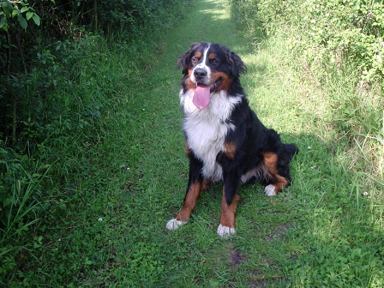 Foto: Benny-Na proch�zce