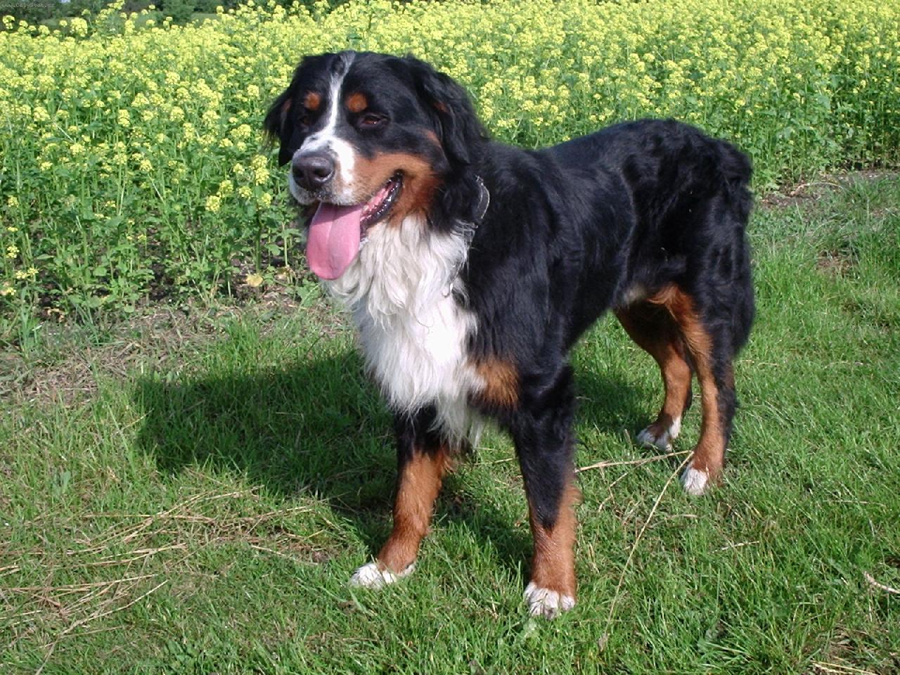 Foto: Benny-Na proch�zce