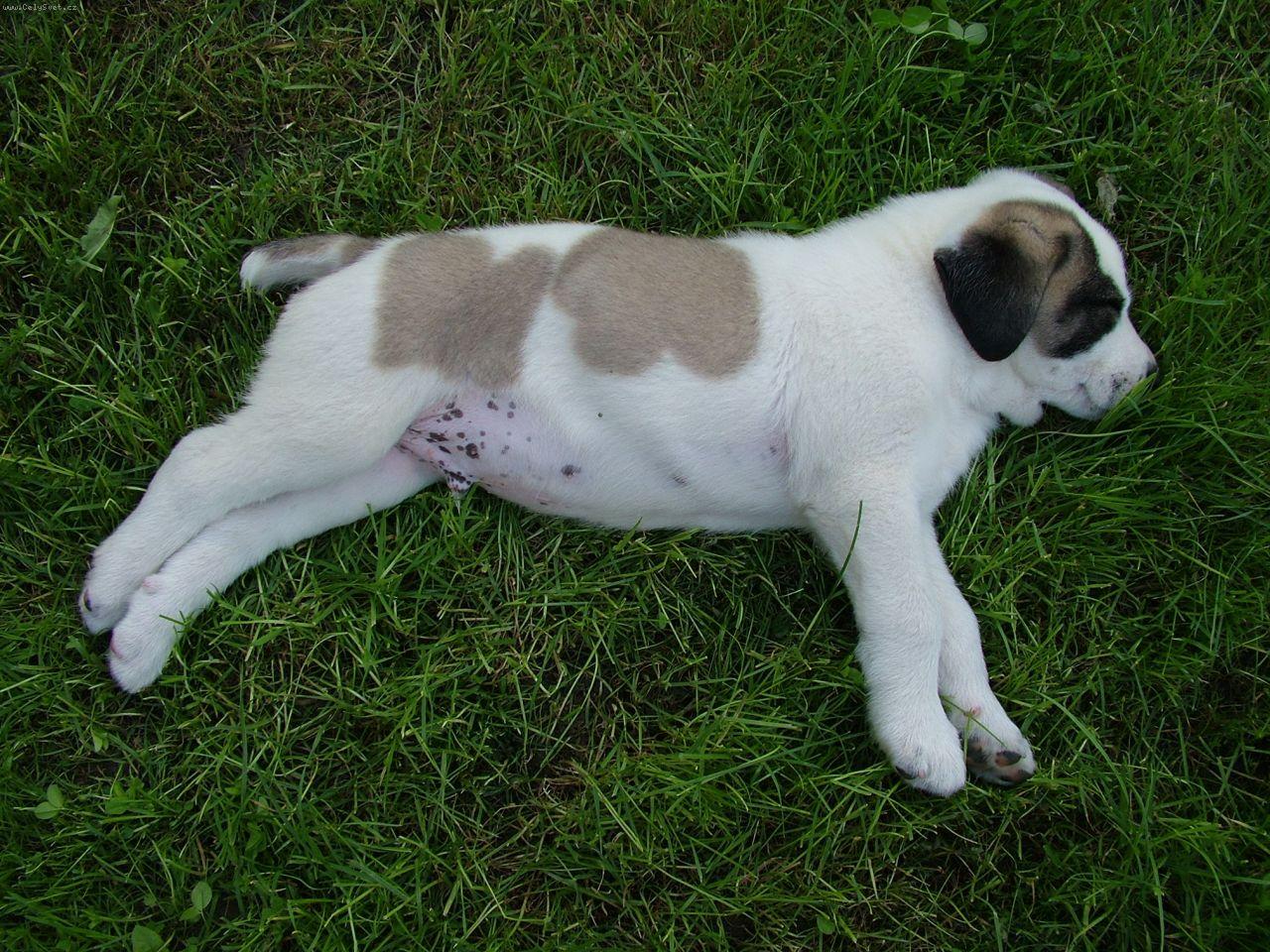 Foto: Sp�c� Erik