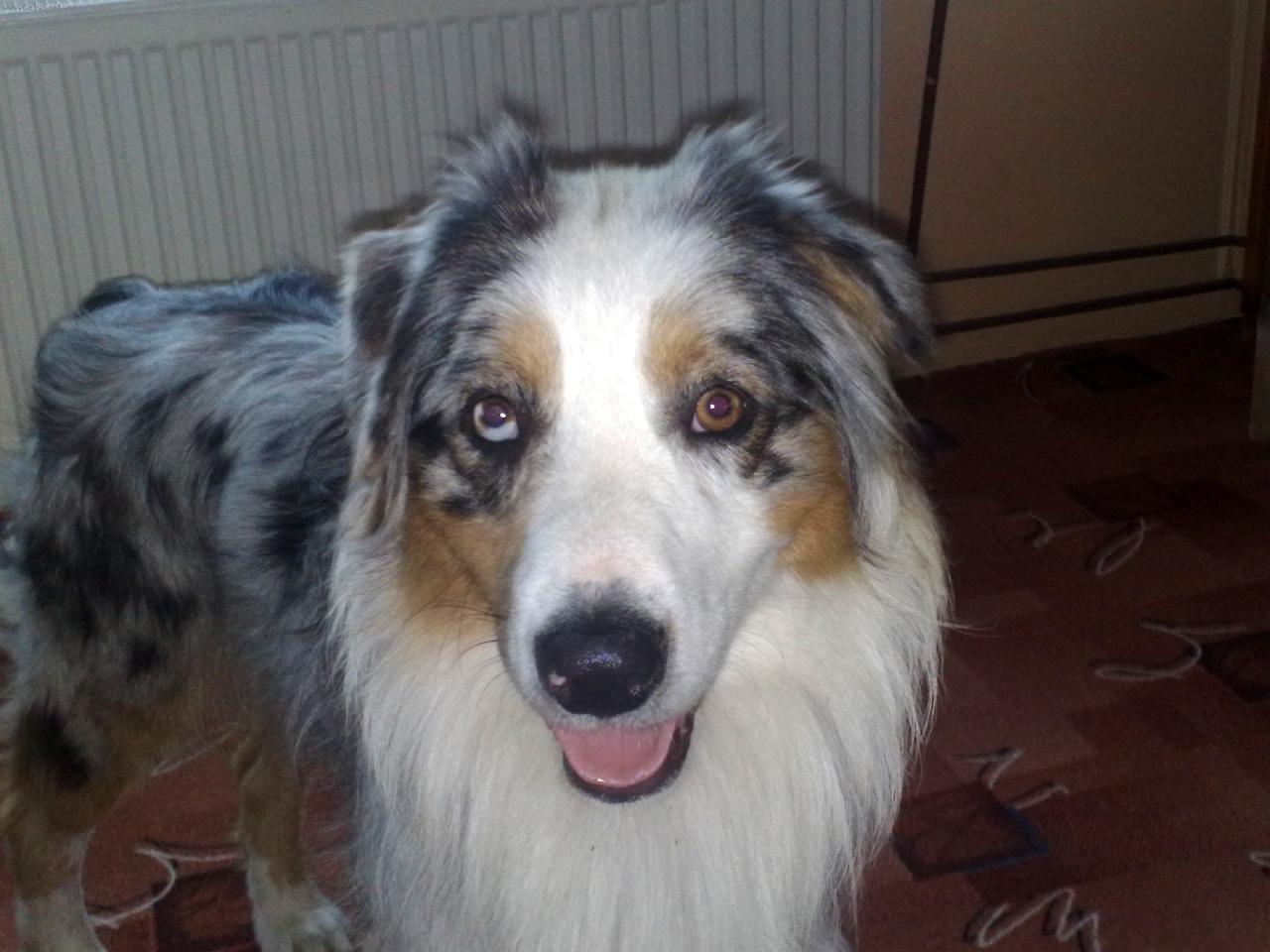 Foto: Ask for More Tender Flash