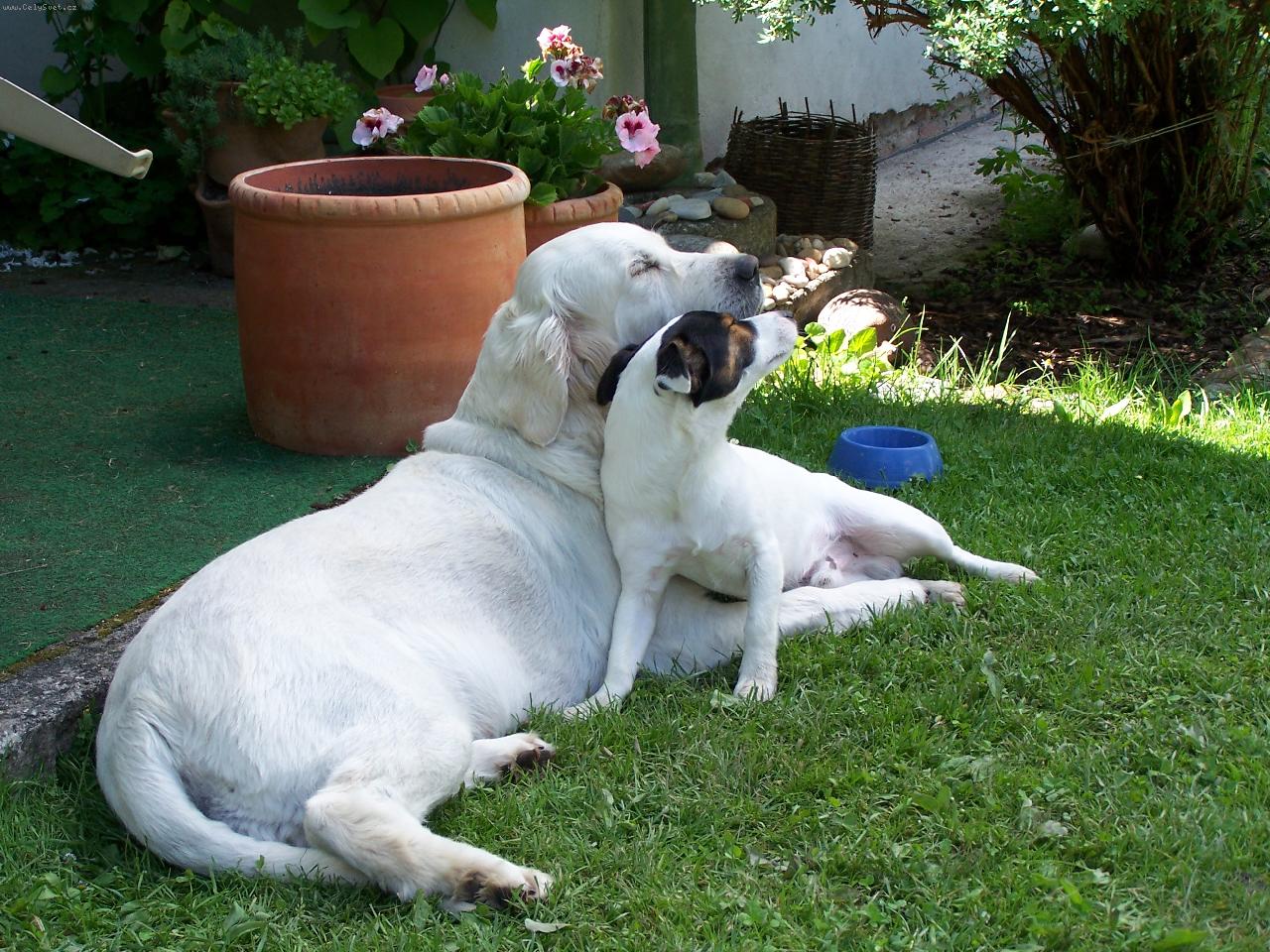 Foto: Hugo a Roz�rka-l�ska