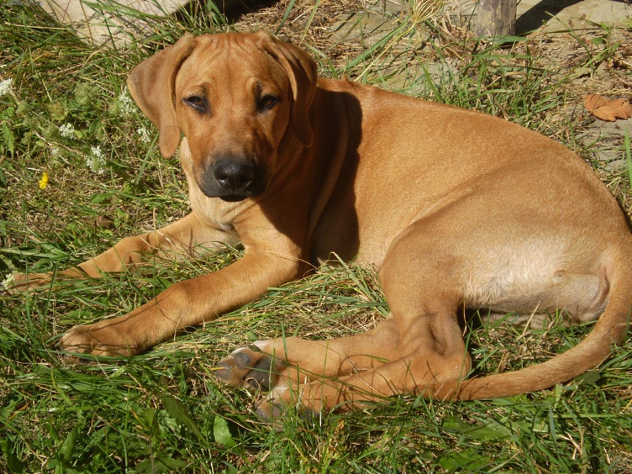 Foto: Bonnie-Na slun��ku