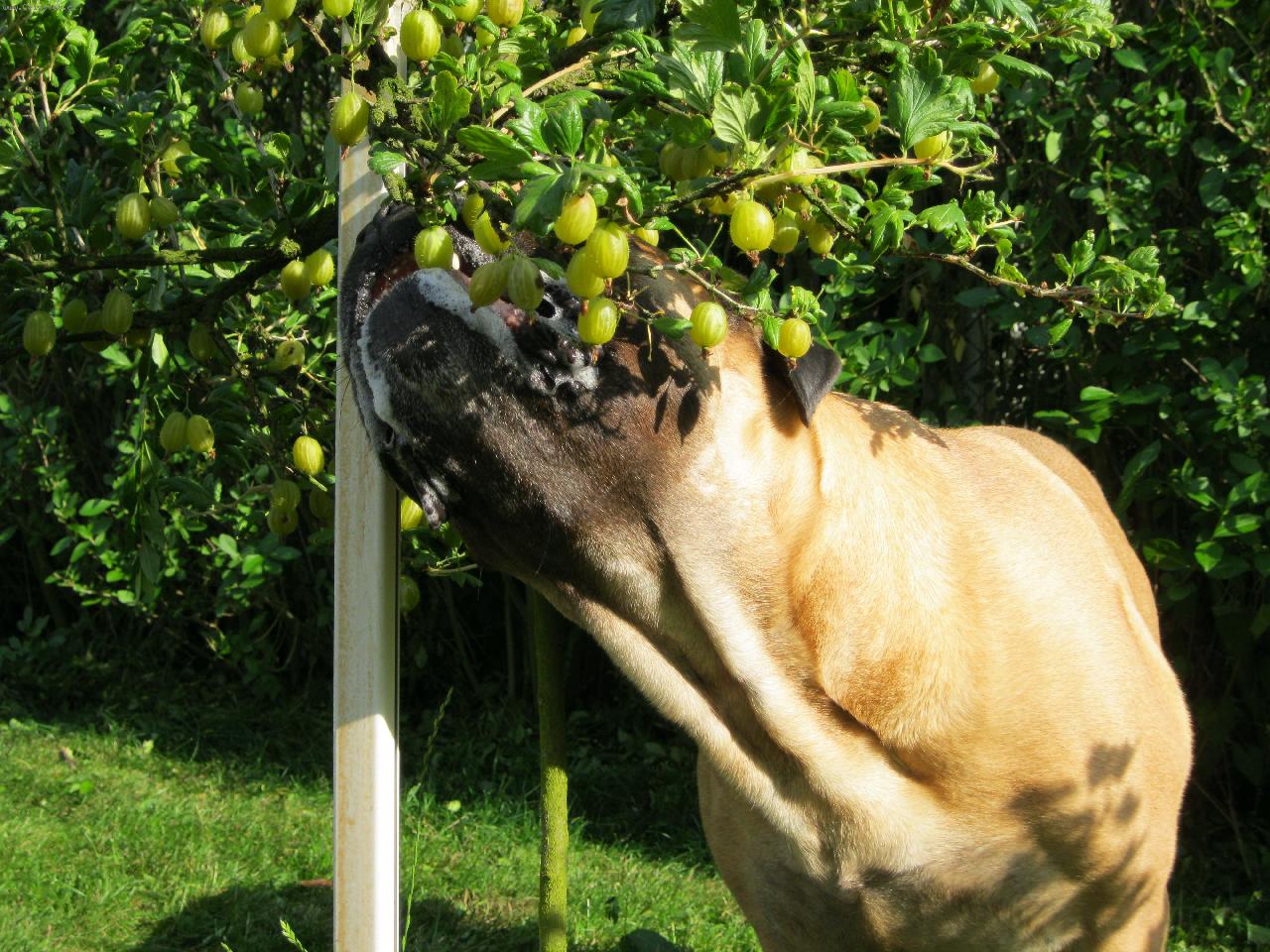 Foto: Odetta-to je dobrota