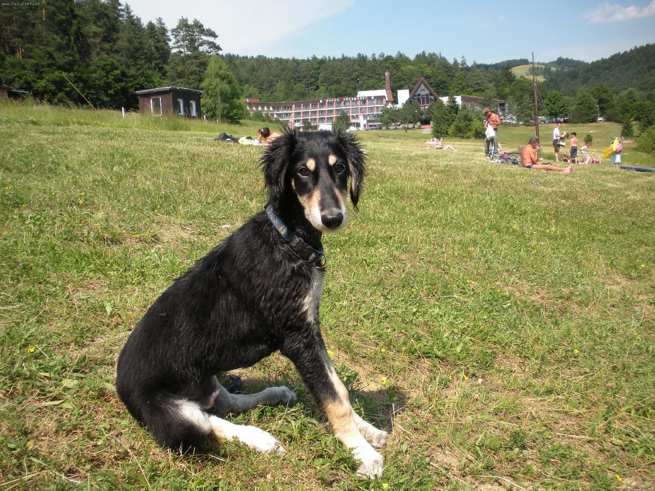 Foto: Atiyah Sayah ( 4 m�s�ce )