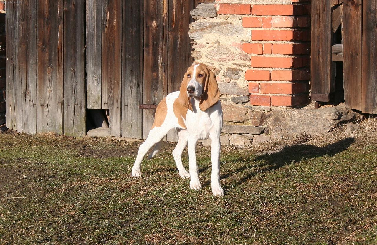 Foto: Pinkie Bencilla