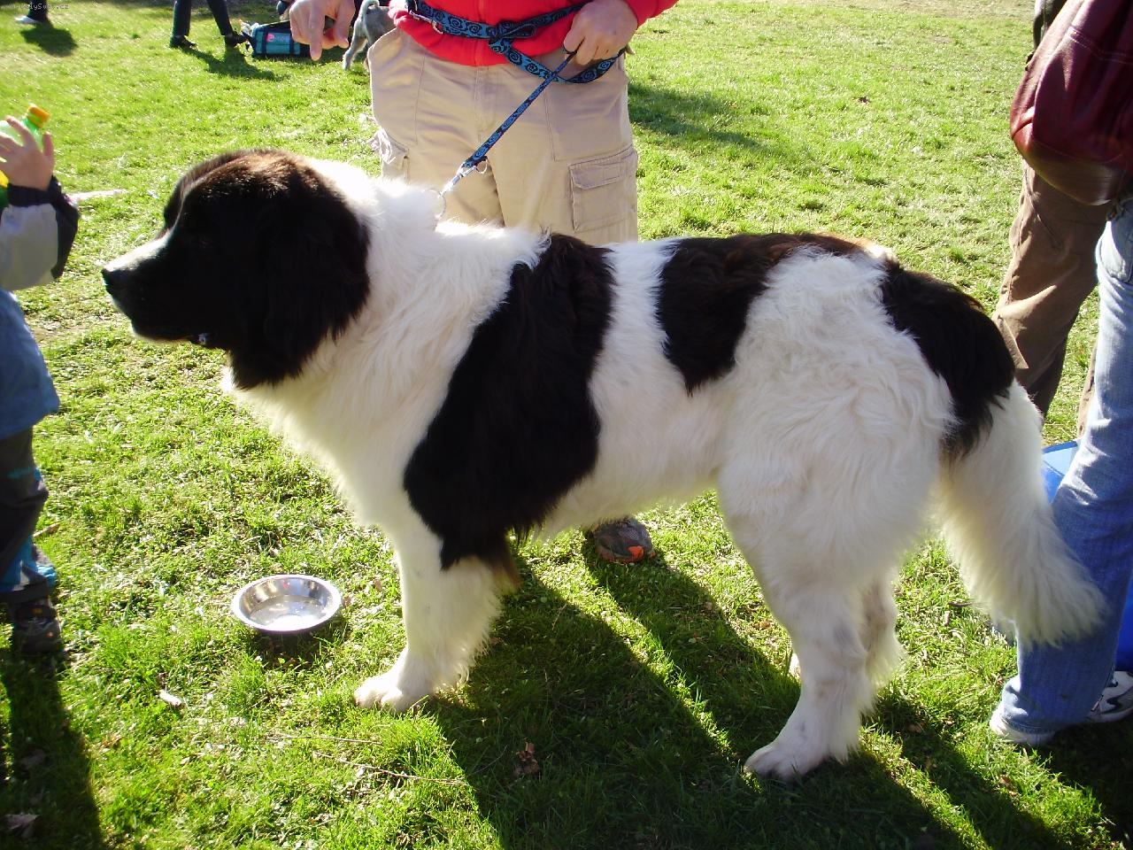 Foto: Bastienek formenos gil