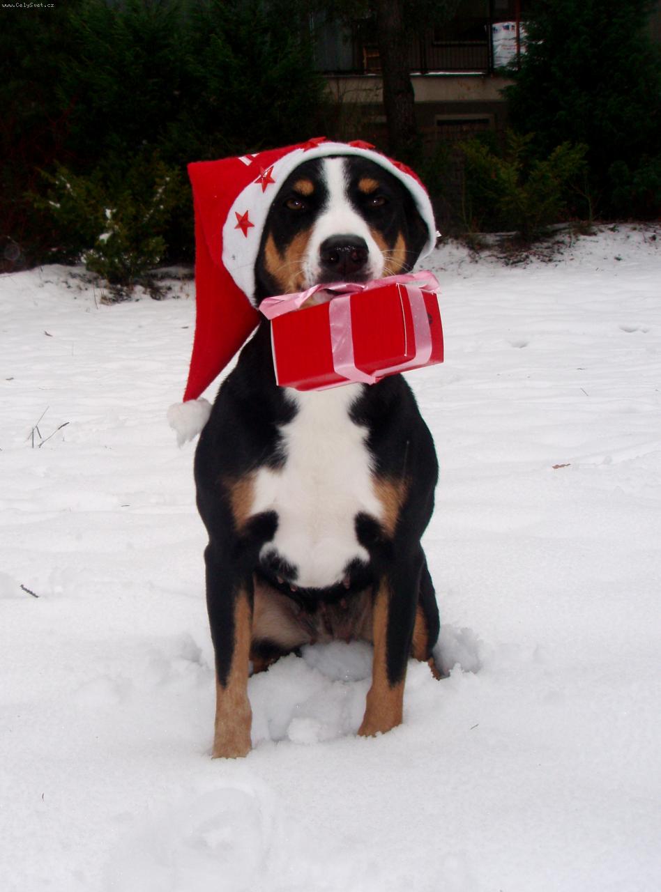 Foto: v�no�n� 2012-Abora z Velk�ho �jezda