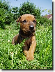 �t��� z chs slunce Zambezi