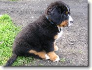 Max�k