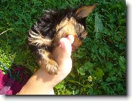 hmm to je v�n�! :-))