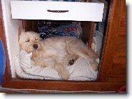 �mudla - sk���ov� po�itk��