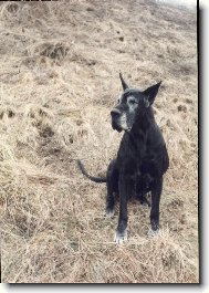 Aigi Uttis - bab�a