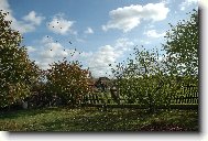 POLETUJ�C� LIST�