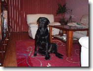 Bryta od Mar�ovsk�ch luk