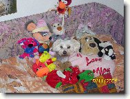 M� hra�ky...vlastn� jen polovi�ka:)