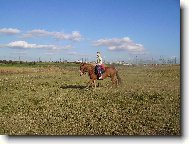 kon�-huculka B�ra