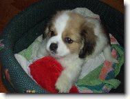 moje mal� chiquitka