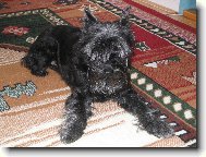 vzpom�nka na na�i Besinku