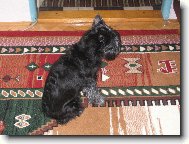 vzpom�nka na na�i Besinku