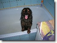 Na�e Dejsi p�i koup�n�