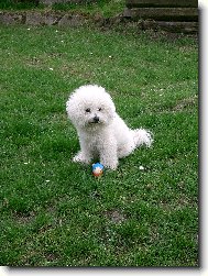 Ind�k na zahrad�