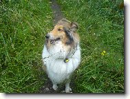 Ad�lka v tr�v�!!!