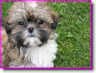 Tak se tv���m,kdy� n�co provedu...