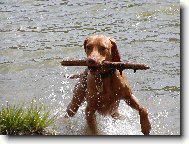 Erik od Veselsk�ho jezu (Mates)