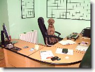 Ambra od Voka�ovsk�ho rybn�ka