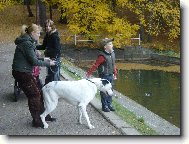 Nepast� m� na ty kachny