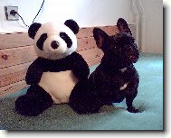 B�ra-rok a 10 m�s�c�