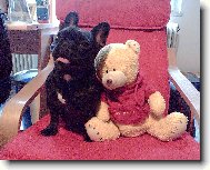 B�ra-rok a 10 m�s�c�