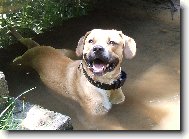 mazl��ek Br��a