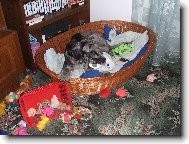 U n�s v mate�sk� ...