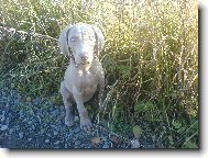 Arwen v divo�in� ;)